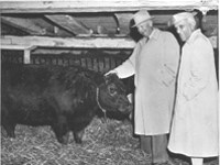 The President and Nehru at the Eisenhower farm. The President and Nehru at the Eisenhower farm.