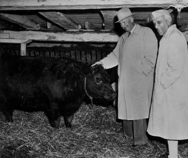 Nehru and Eisenhower at the President's farm, Dec. 17, 1956. Nehru and Eisenhower at the President's farm, Dec. 17, 1956.