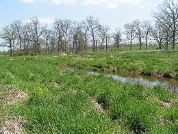 Willoughby Run, a tributary of Marsh Creek