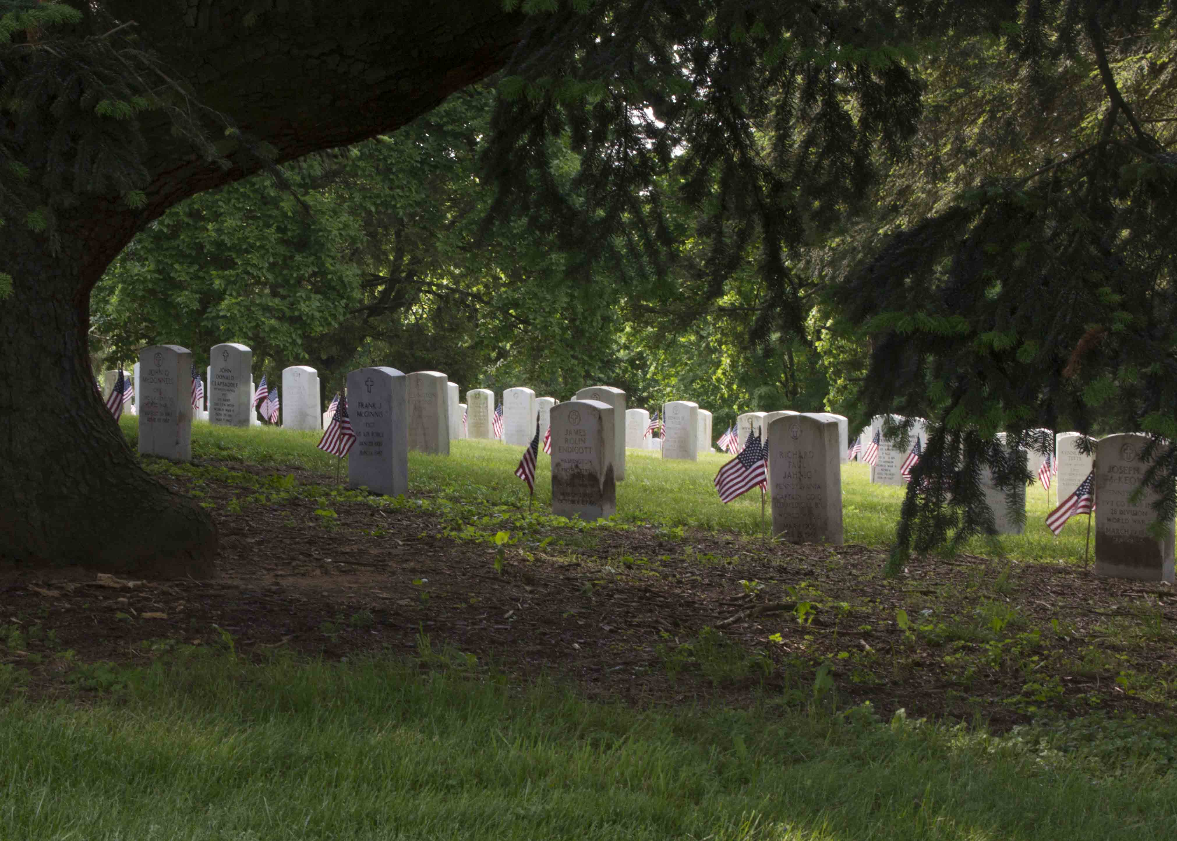 United States flags decorate the graves of soldiers in Gettysburg National Cemetery. Numerous vertical white granite grave stones are decorated with small United States flags. Large trees form a heavy canopy over the graves.