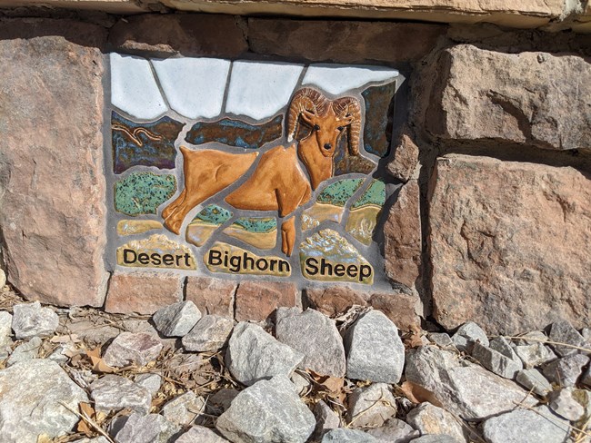 ELCA Mosaic Big Horn Sheep Mosaic Desert Bighorn Sheep