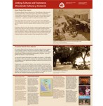 Linking Cultures & Commerce
