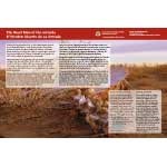 The Dead Man of the Jornada