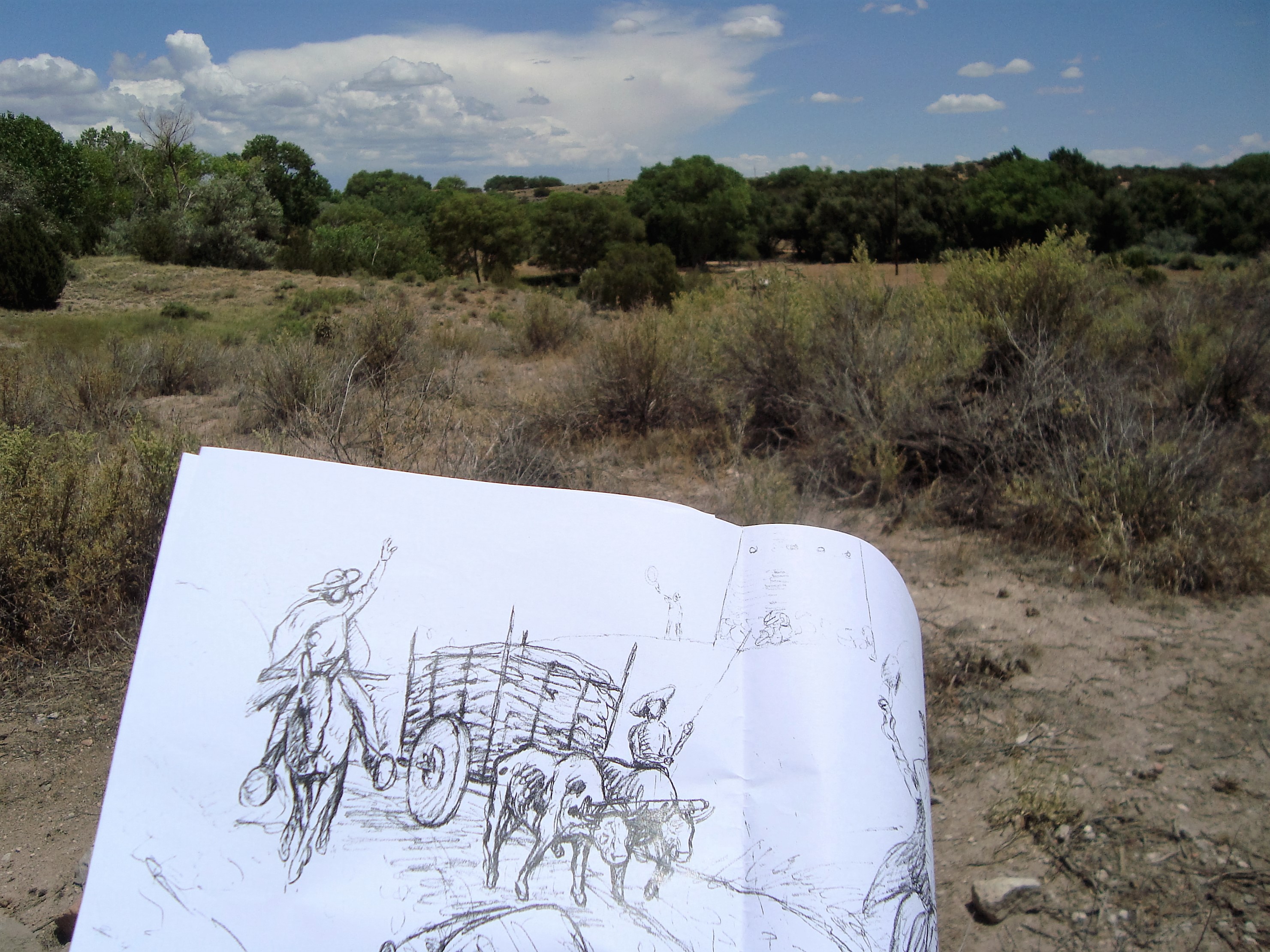 Sketch of El Camino Real de Tierra Adentro trail segment Hand drawn sketch in front of desert vegetation on El Camino Real de Tierra Adentro National Historic Trail