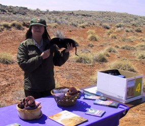 A park ranger prepares to educate students about bats A park ranger prepares to educate students about bats