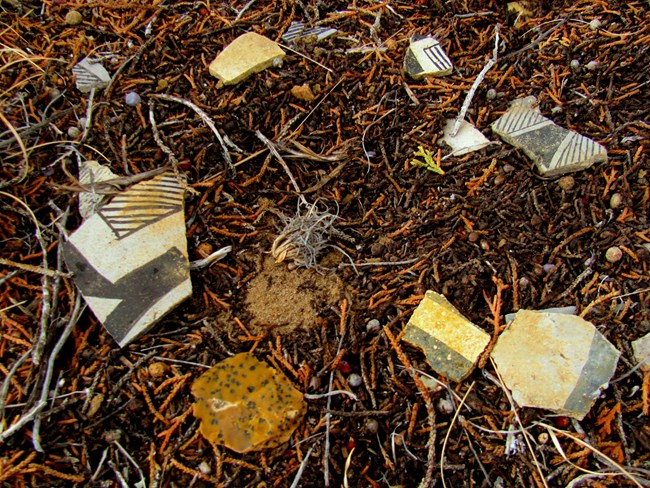 Clay pot fragments, or sherds, of varying shapes and sizes lie close to each other on dead pine needles.
