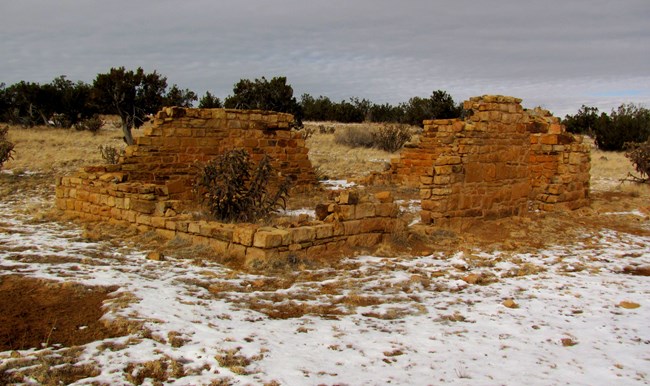 Sandstone brick walls stand in the shape of a one-room house.  All walls are in different levels of collapse.  A large shrub grows inside the house's footprint.