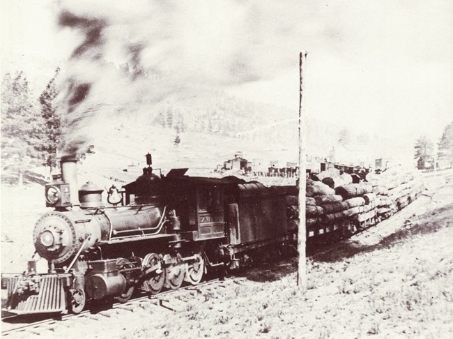 A steam locomotive hauling cars full of timber logs (Archival photo)