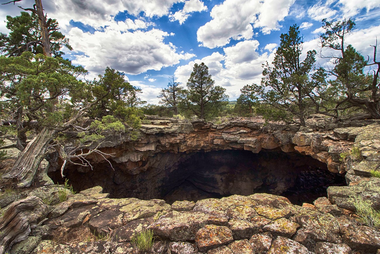 A cave entrance framed by trees and rubble.