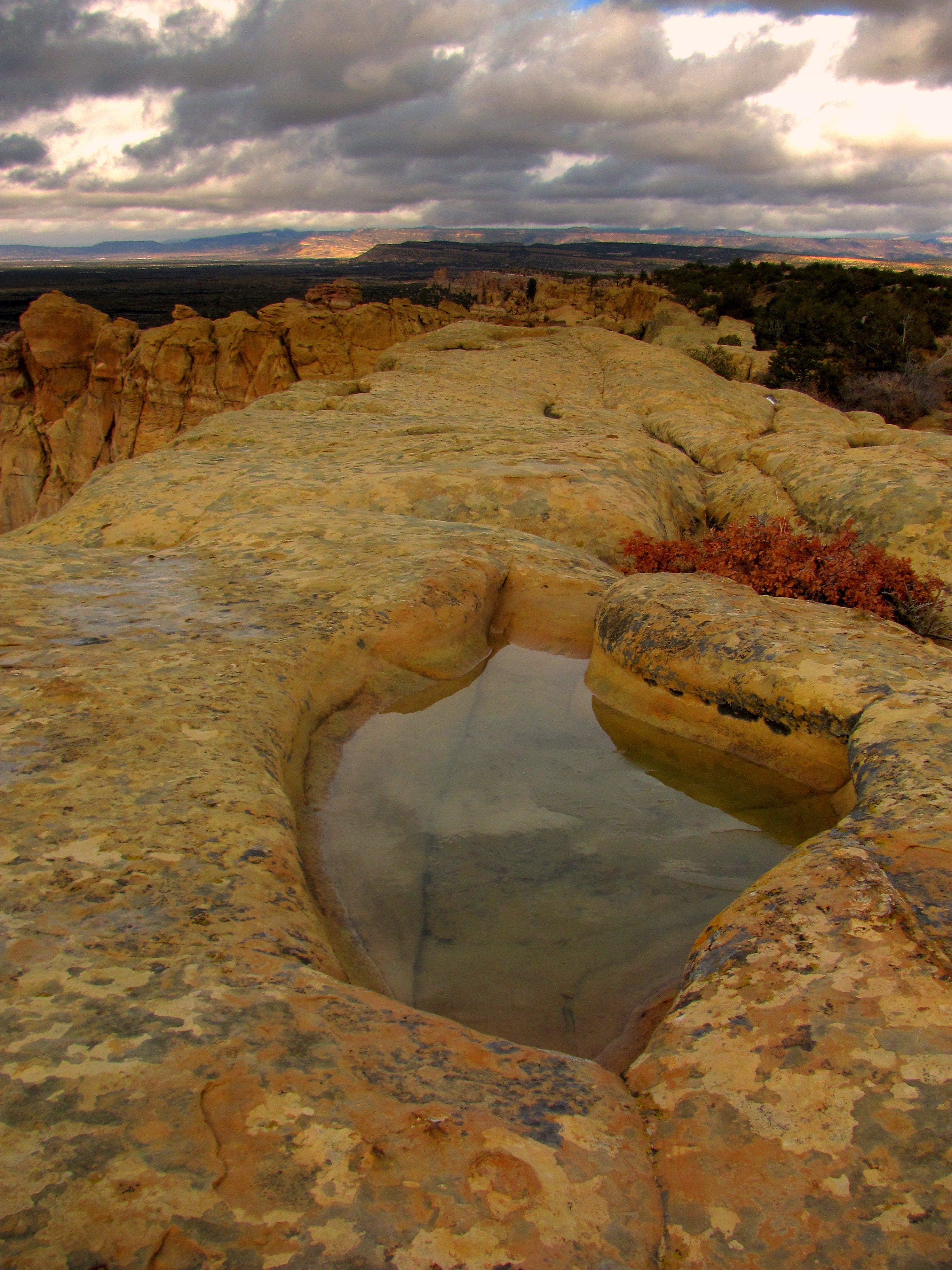 A tinaja at Sandstone Bluffs Overlook.