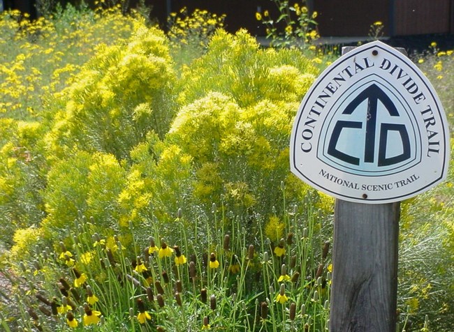 A rounded triangle Continental Divide Trail sign post in front of blooming wildflowers.
