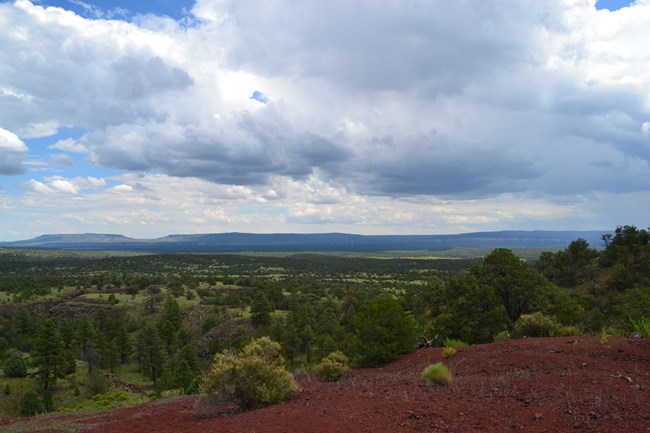 Red rock lines a hill in the foreground looking out over a forested landscape with mesas in the distance.