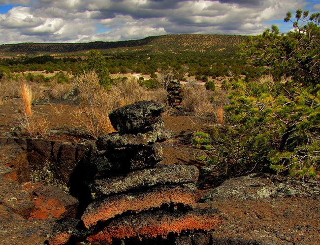 A pile of rocks form a cairn trail marker amongst desert shrubs