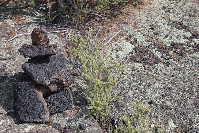 A pile of black rocks stands on a more level rock surface next to a patch of grass.