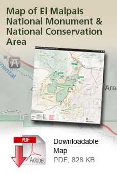 Download a PDF of the park map!
