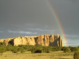 Rainbow _forWeb Rainbow _forWeb