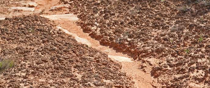 Crypto-Drainage-2 Crypto-Drainage-2