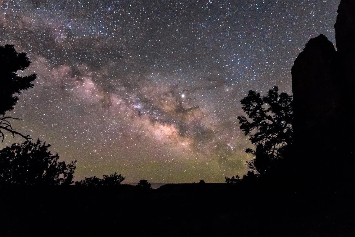 The Milky Way stretches across the sky behind silhouetted trees