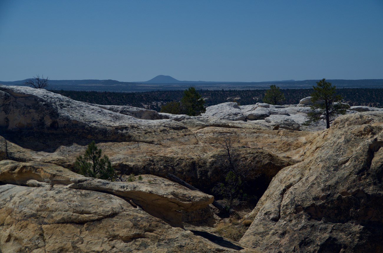 A rocky outcropped with scattered trees overlooking a valley with a distant volcano.