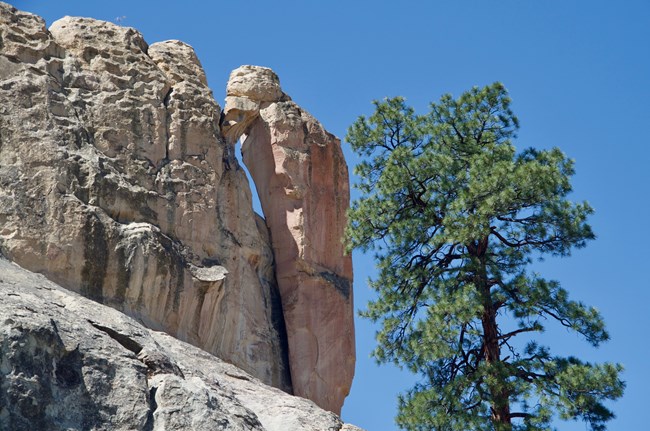 A crack in a rock cliff that looks vaguely like a bird