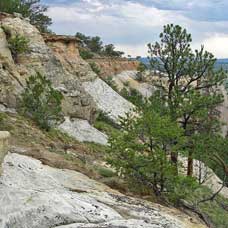 Dakota-Sandstone