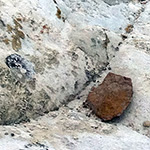 Natural Features & Ecosystems