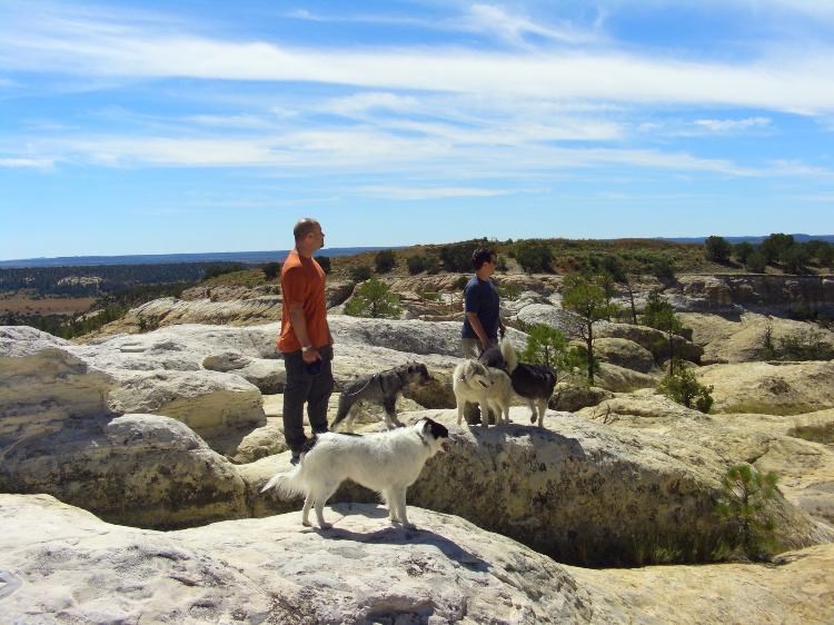 Two visitors and four dogs walk across a rock surface.