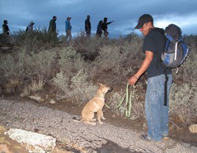 Puppy and his owner enjoy a ranger guided night hike. Puppy and his owner enjoy a ranger guided night hike.
