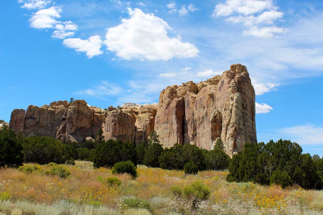 Cliff face rising from a grassland with a few small trees