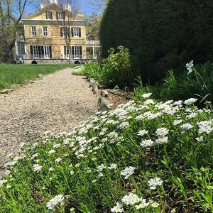 A flowerbed and a path in a formal garden. A mansion is in the background