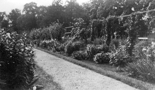 A path runs through a garden