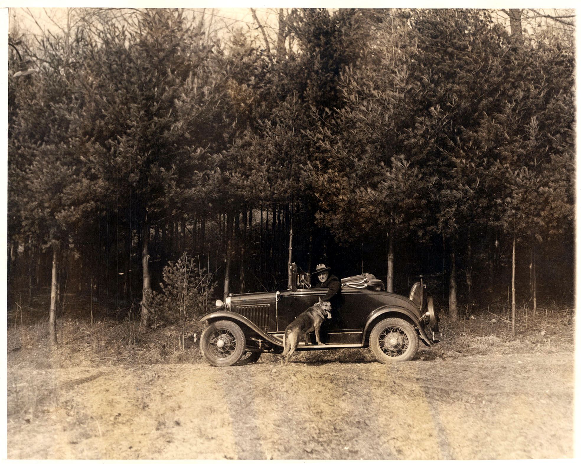 A man in a car pets a dog, outside of the car, in the woods