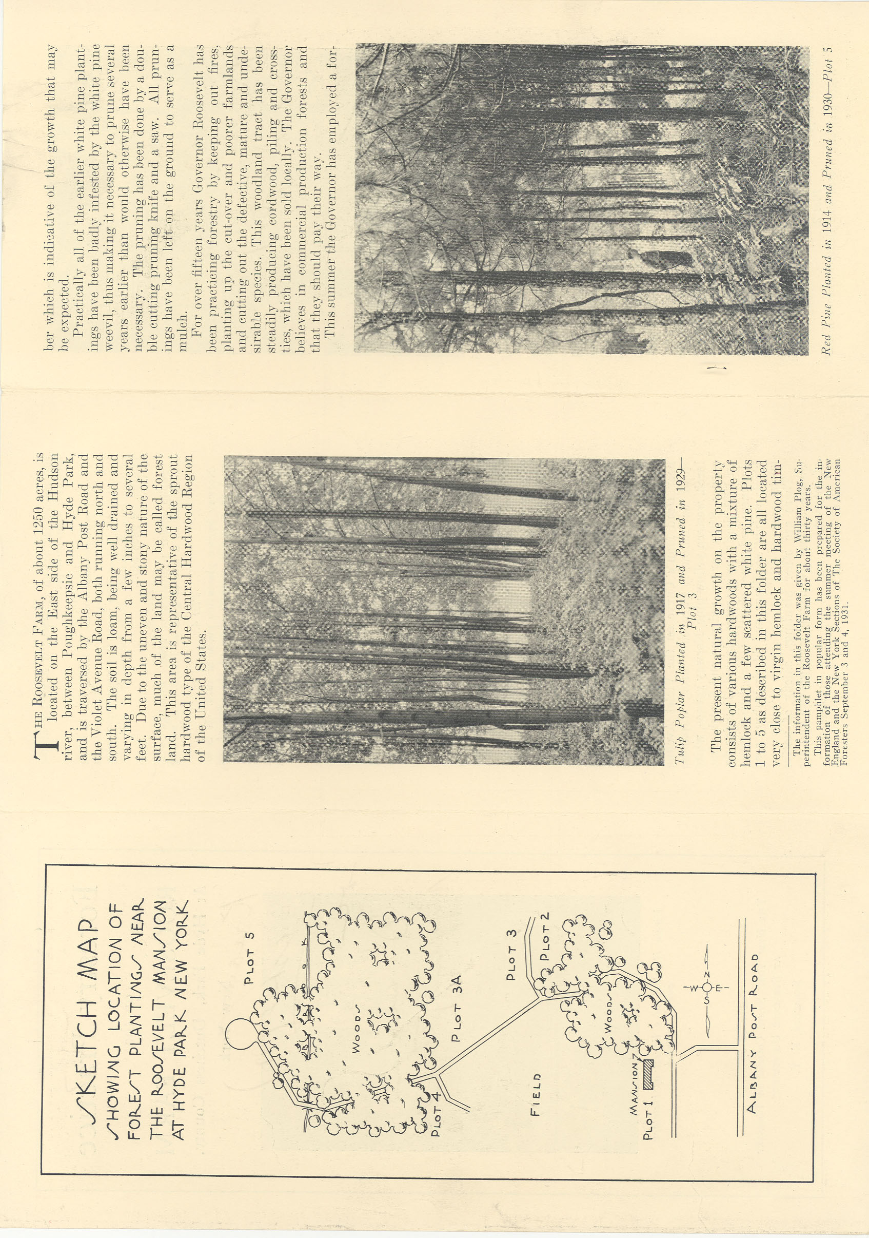 A pamphlet about forestry