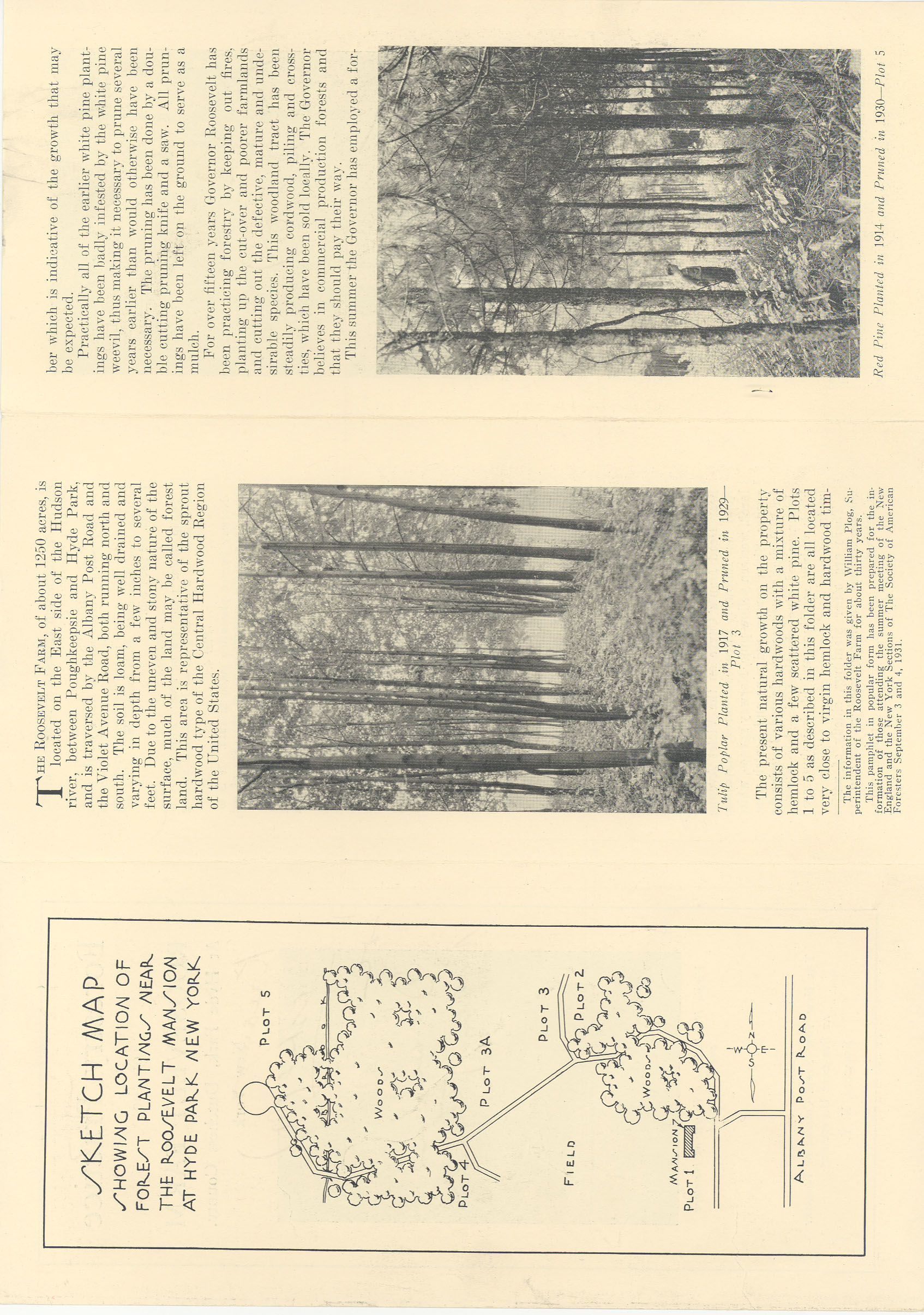 Forestry Pamphlet A pamphlet about forestry