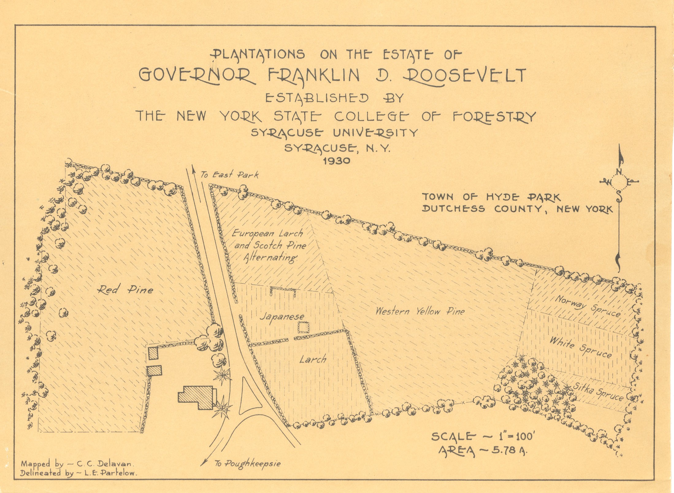 Map of Roosevelt Tree Plantations A map depicting tree plantations