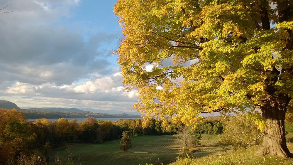 View of a meadow, with a river behind the meadow, and mountains behind the river.