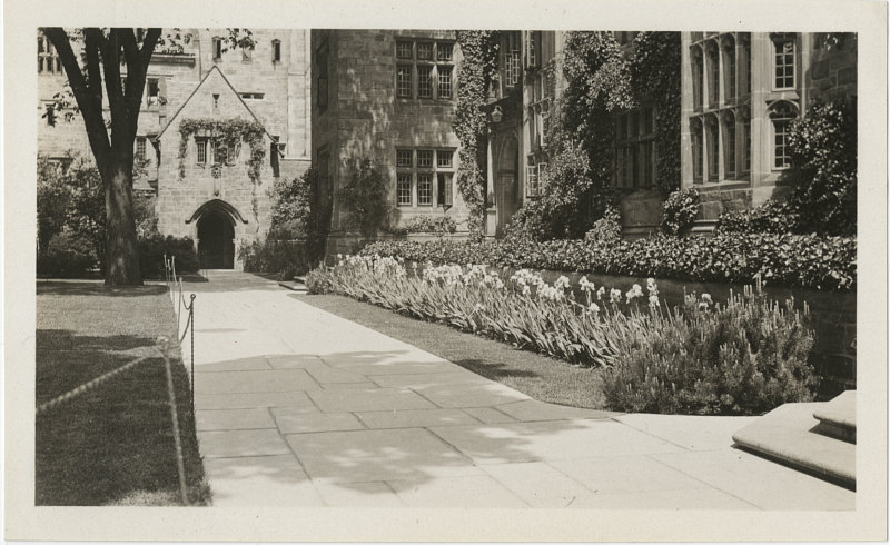 A courtyard space with flowers, a paved footpath, and trees