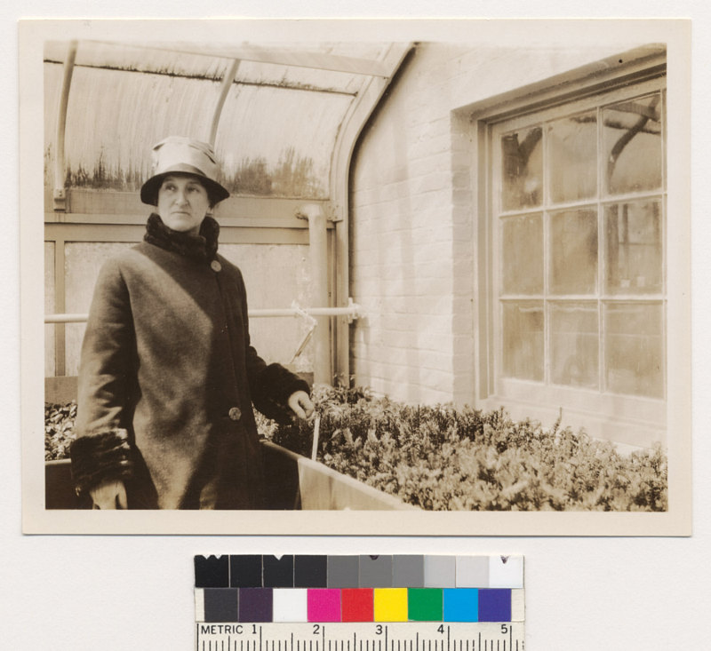 A woman stands next to a box of plants inside a greenhouse