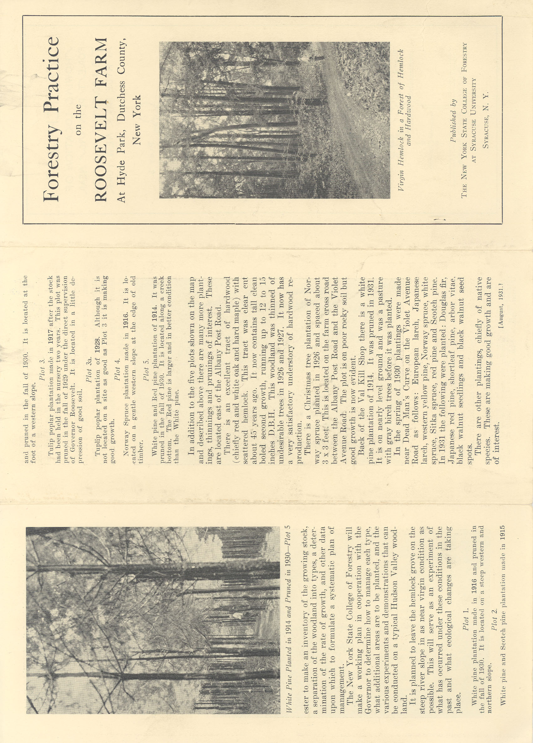 Pamphlet Produced by the New York State College of Forestry A pamphlet about forestry