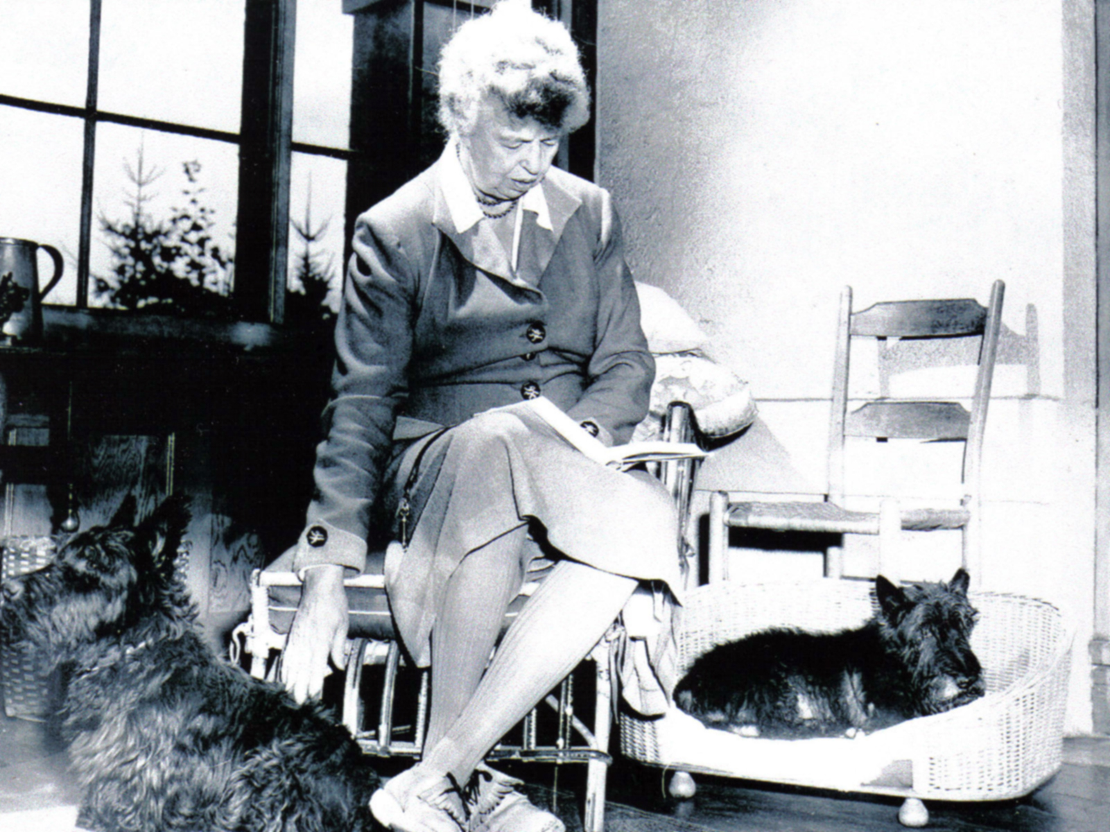 Pets - Eleanor Roosevelt National Historic Site (U.S. National Park Service)