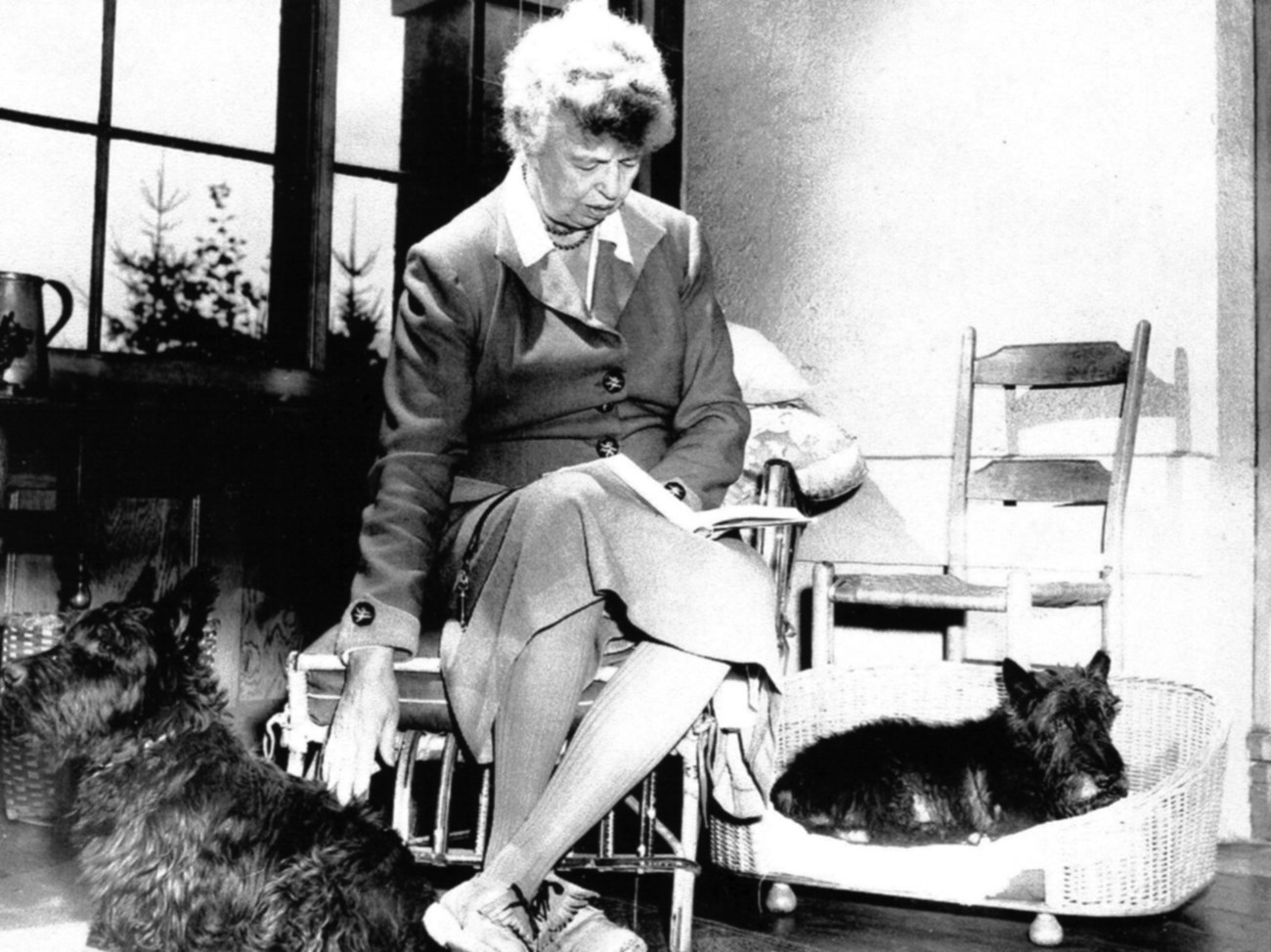 Eleanor Roosevelt reading a book with her two dogs at her feet.