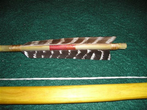 Cane arrow fletching yellow bow, bois d’arc bow limb