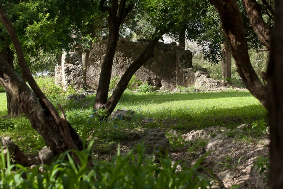 mission nuestra senora del espiritu santo