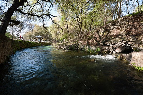 Comal Spring Comal Spring