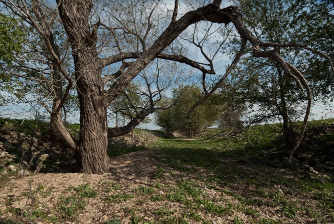 Acequia de Mission San Francisco Xavier de Horcasitas Acequia de Mission San Francisco Xavier de Horcasitas