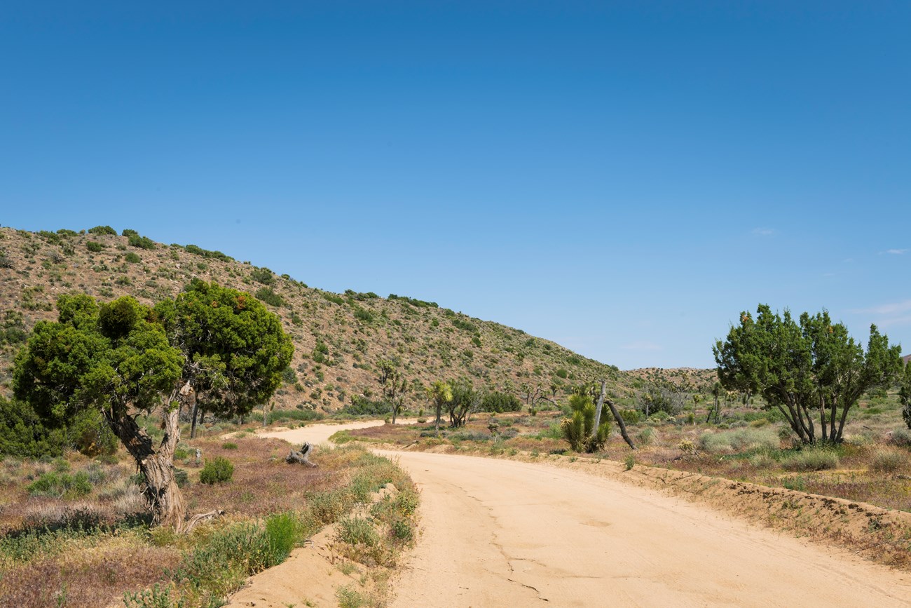 Una carretera sin pavimentar bordeado por vegetación verde y colinas inclinadas.