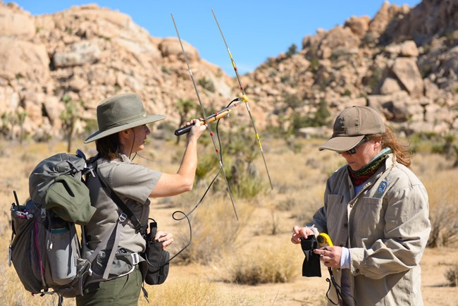 Dos cientificas alrededor de rocas y plantas deserticas