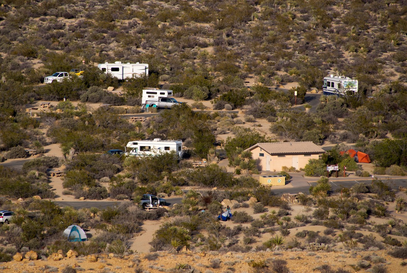 Sitios de campamentos con carpas y casas rodantes alrededor de rocas de granito y vegetacion desertica.