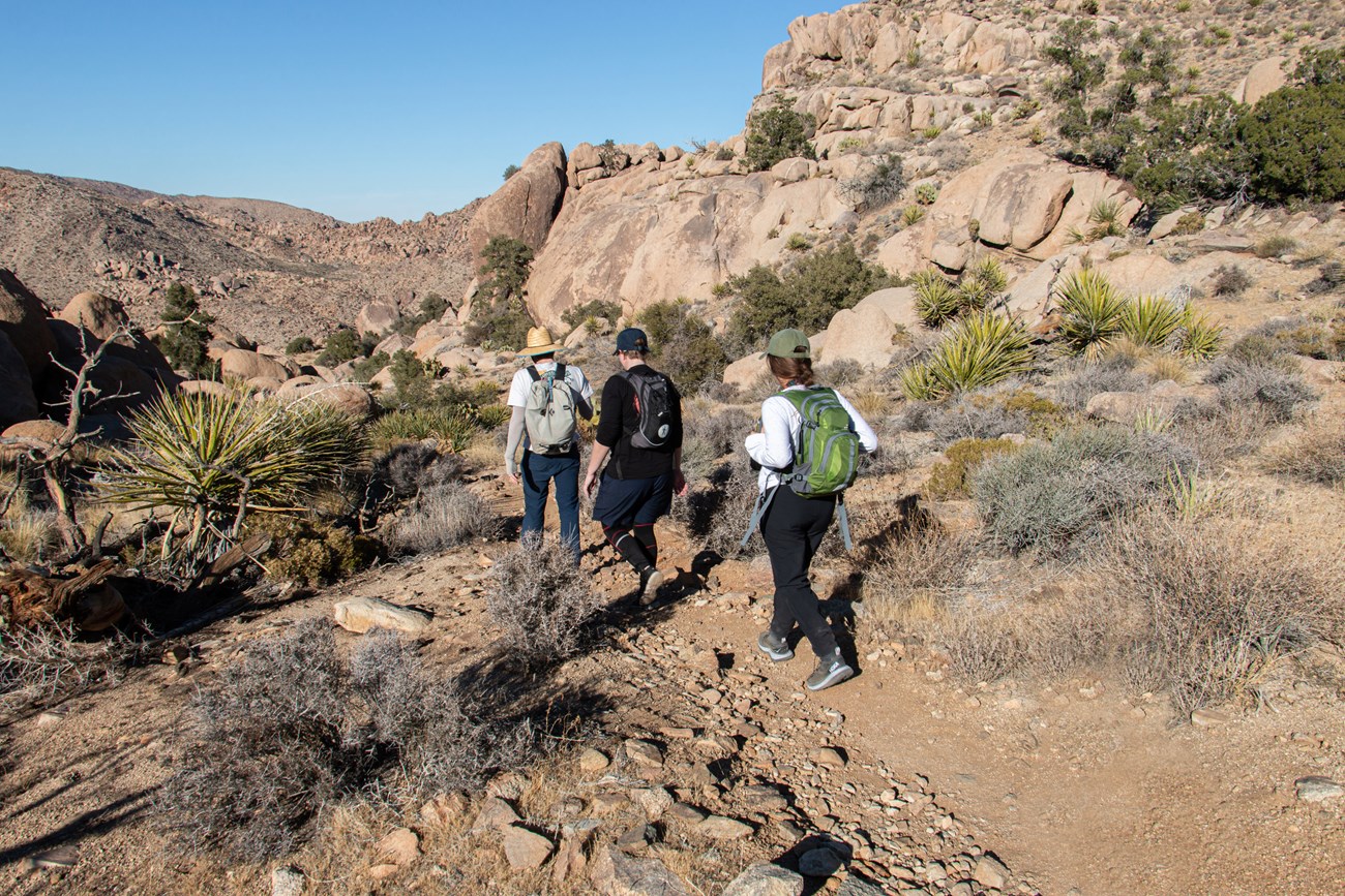 Tres excursionistas en el sendero con arbustos, árboles y rocas en el fondo.
