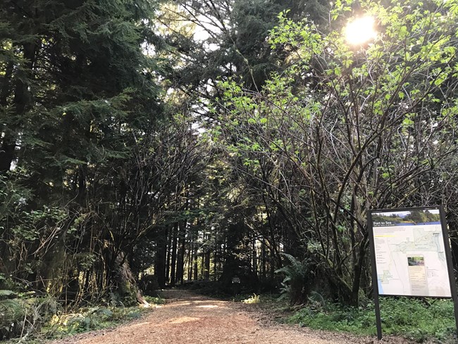 Un sendero con arboles a los dos lados y un signal con los senderos